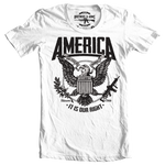 Brothers & Arms USA America 2nd amendment white tshirt right to bear arms it is our right eagle  
