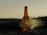 Shooting Whiskey & Pistols